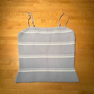 Aritzia Babaton Blue and white striped tank top